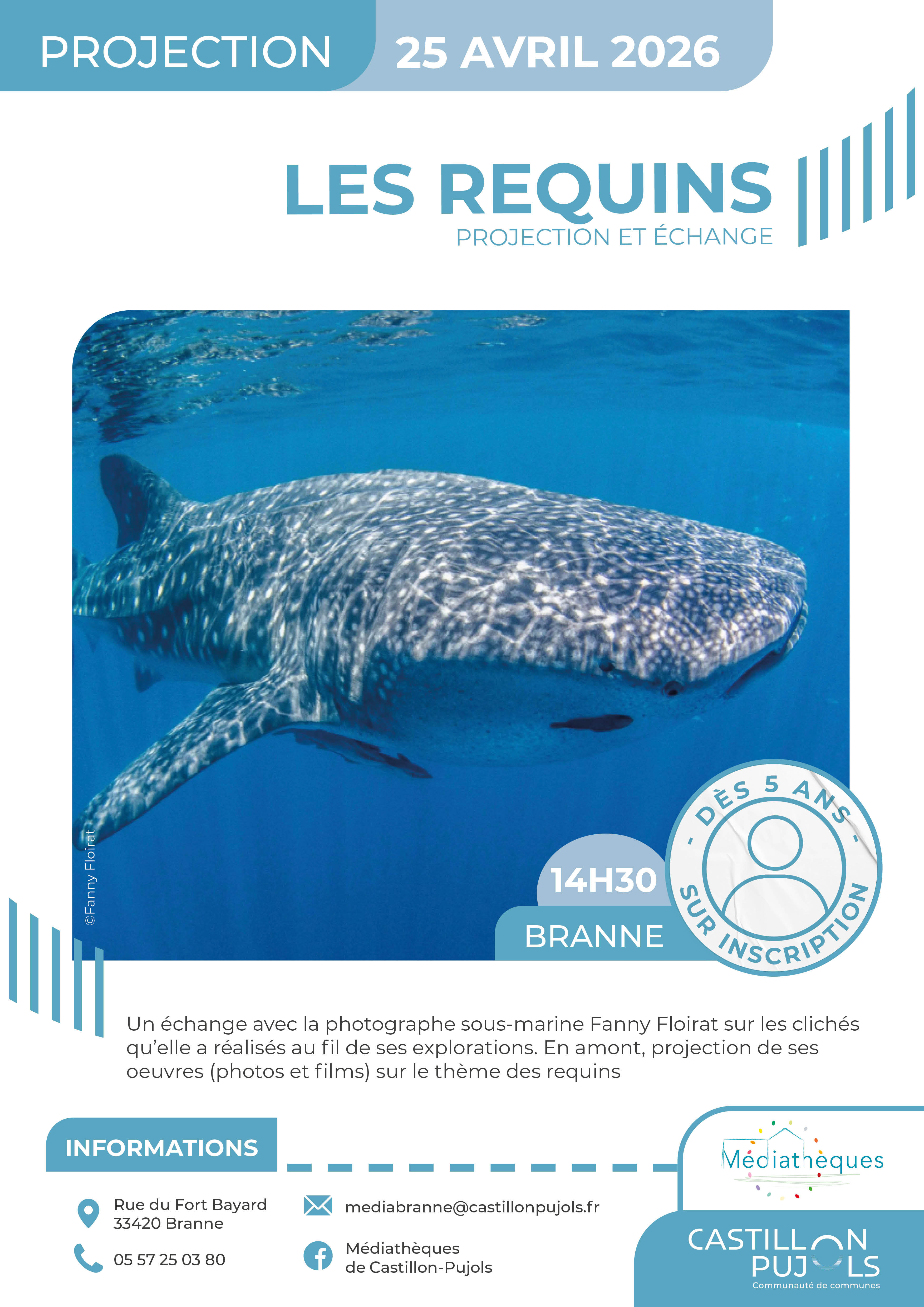 260425_projection_requins.jpg