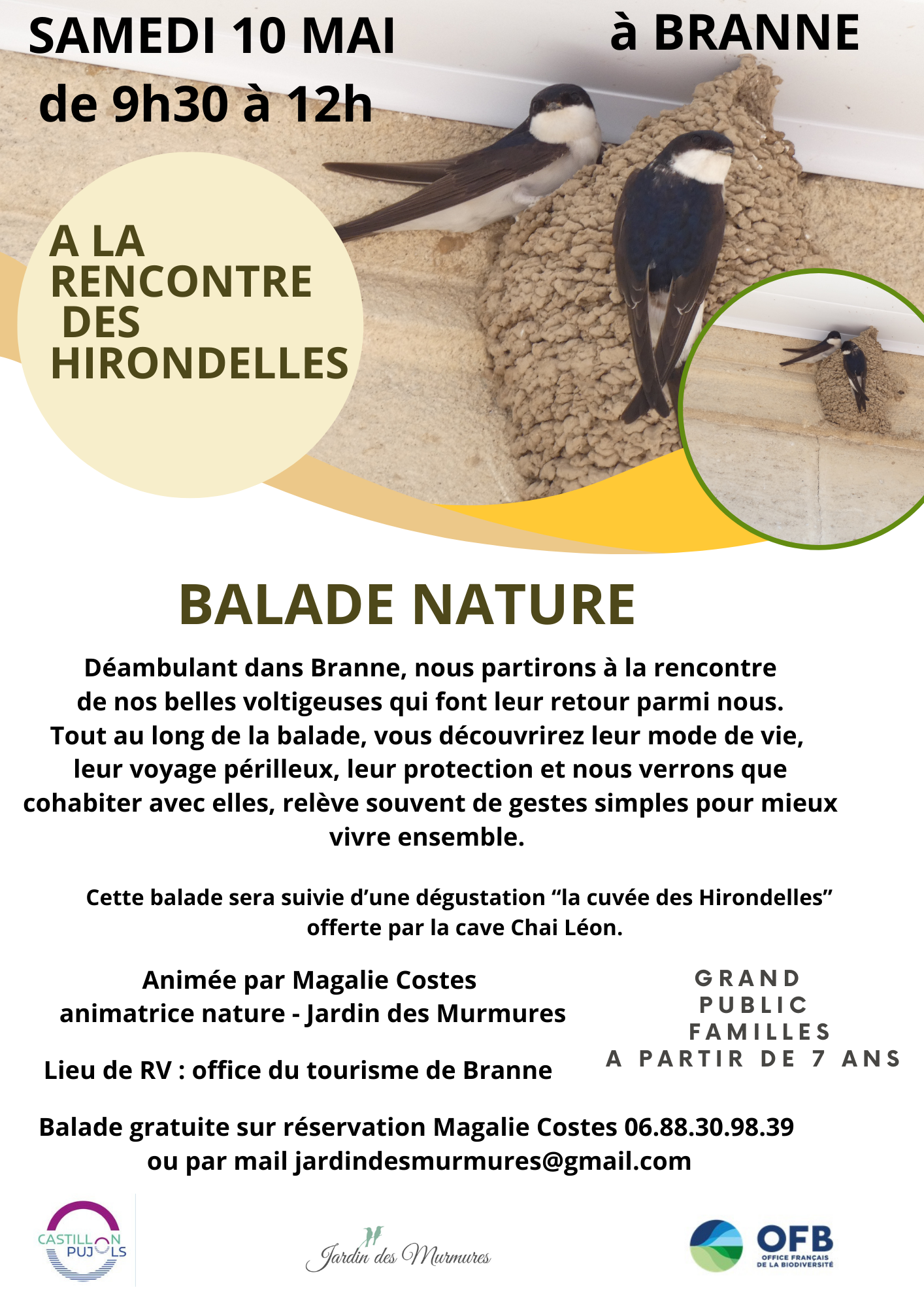 AFFICHE_hirondelles.png
