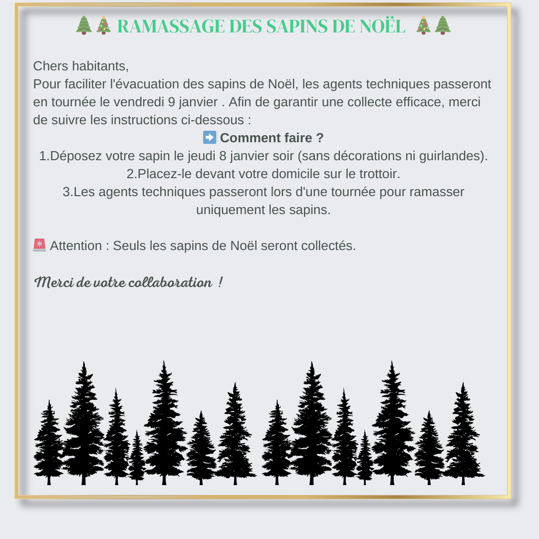 Ramassage_sapins_2.png